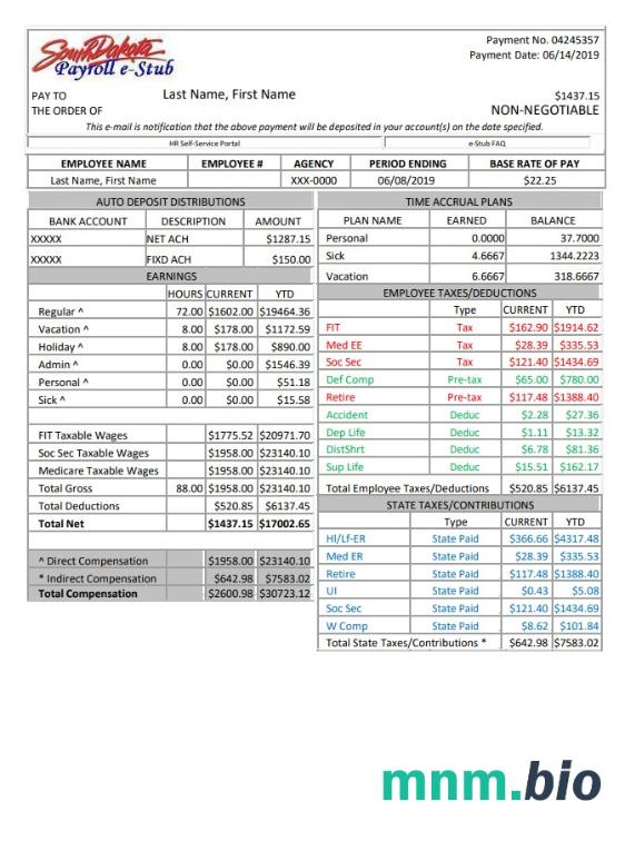 South Dakota payroll e-stub Word and PDF template